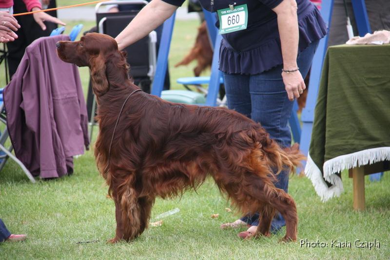 Copper's Champagne On Ice At Aoibheanne (12).jpg